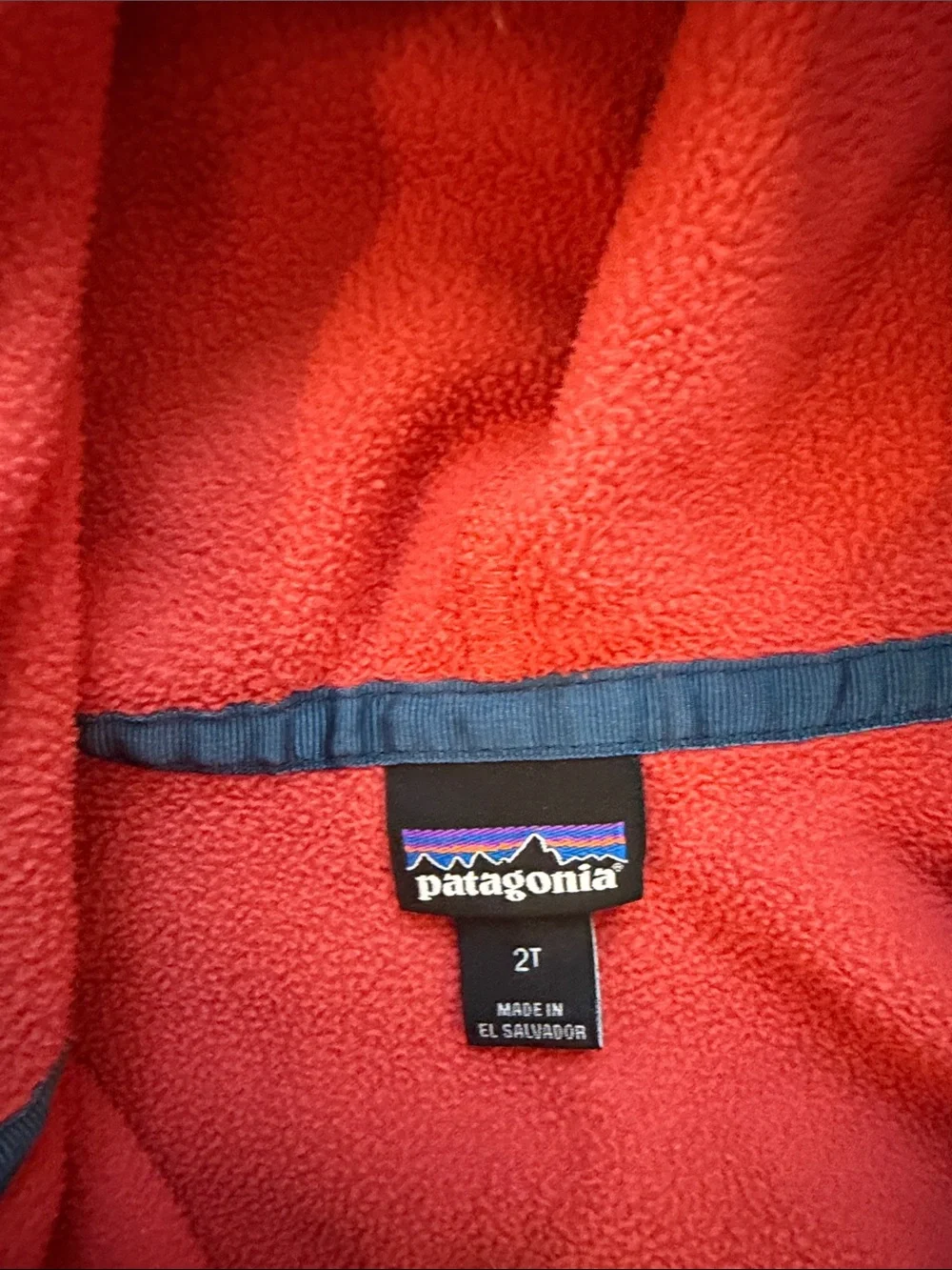 Patagonia 2T Micro-D Fleece Jacket